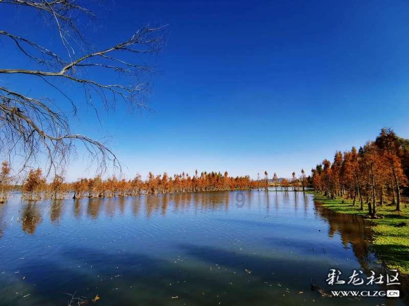 疯劲十足先行者力擒东北虎，天津队变化大，高速错过张庆鹏成遗憾